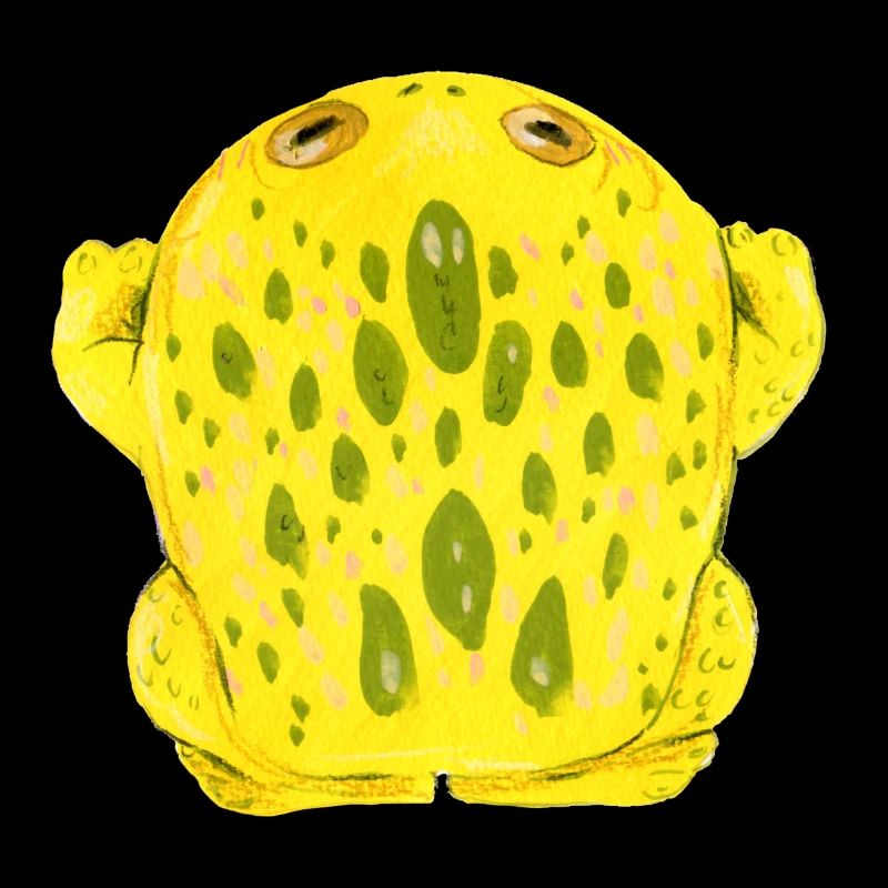 Crapaud grenouille jaune