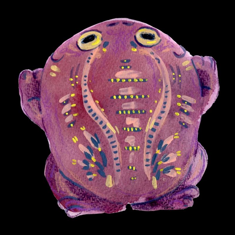 Purple Kröte