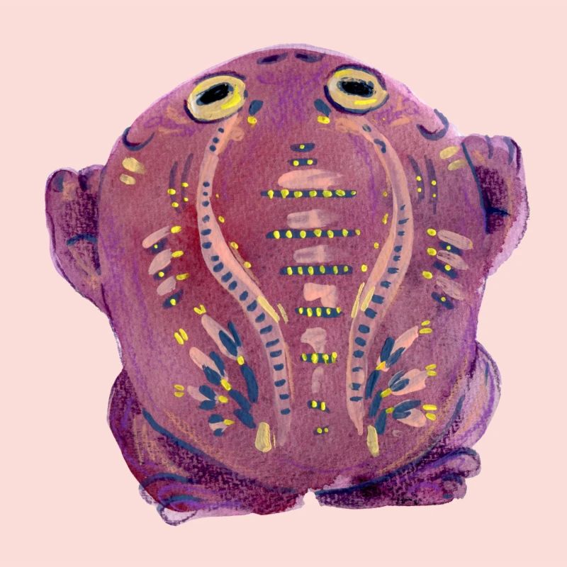 Crapaud violet