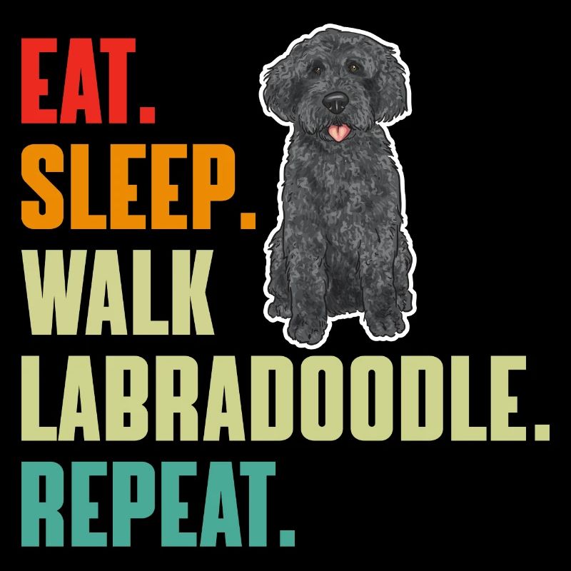 Labradoodle Dog