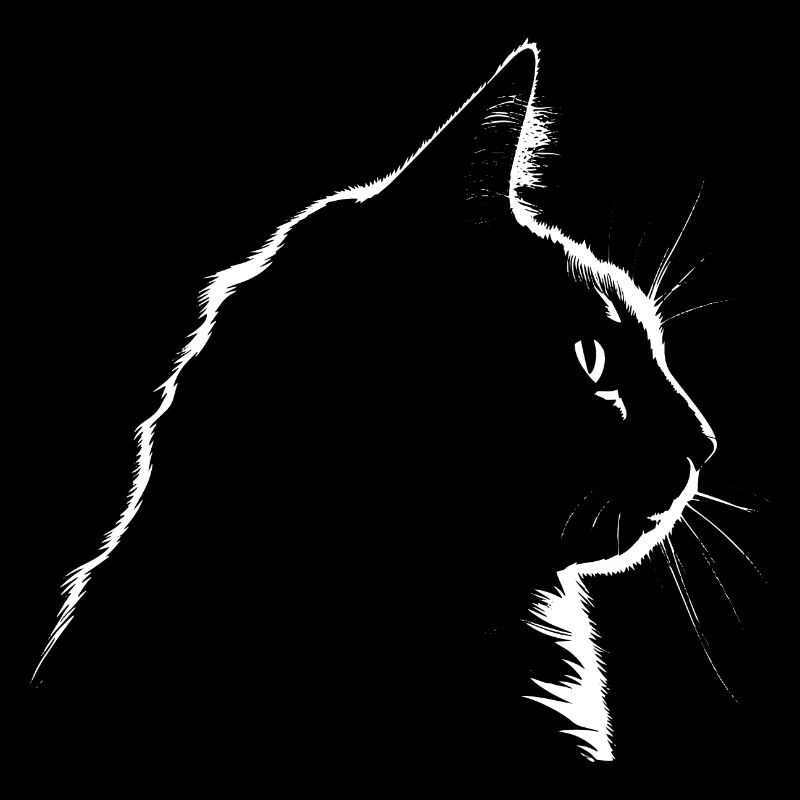 Cat, Cat Motif