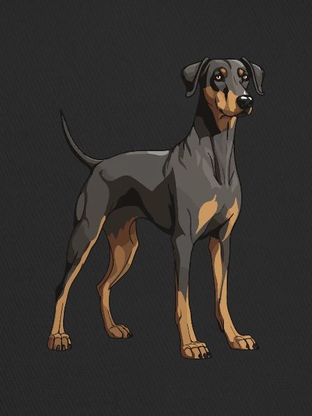 Doberman Dog