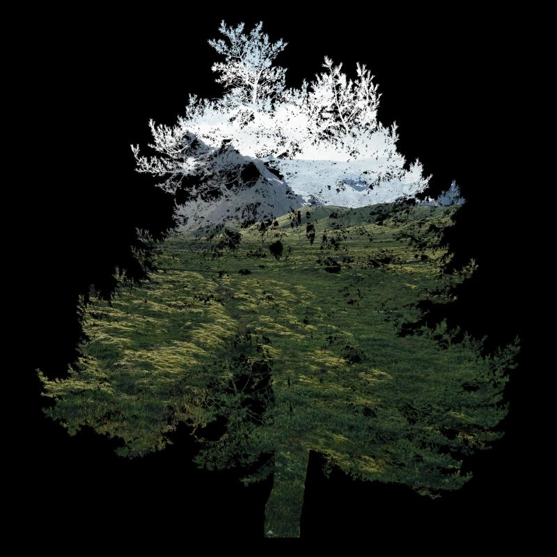 paysage d'arbres