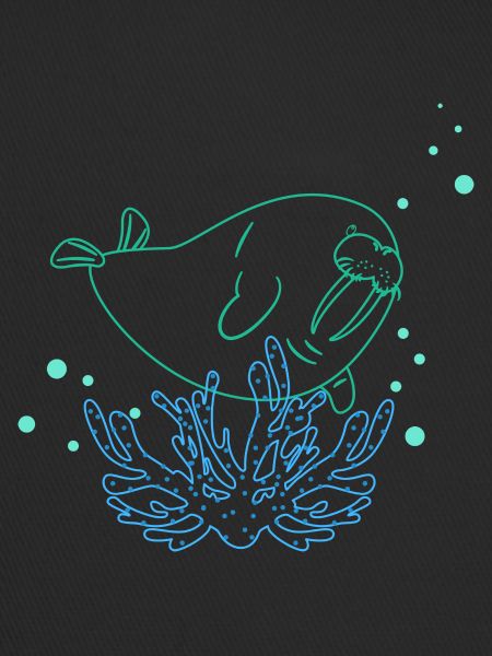 Walrus Swimming Underwater