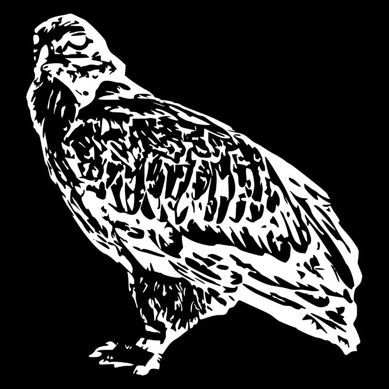 Faucons Oiseaux Oiseaux