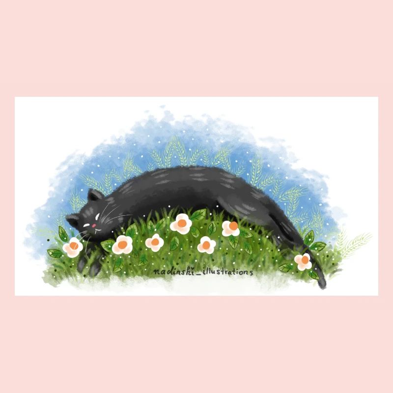 Cat sleeps