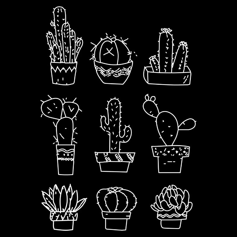 6 different cacti white