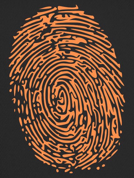fingerprint