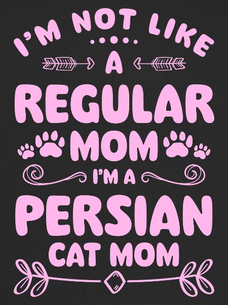 Persian Cat Cat Lover