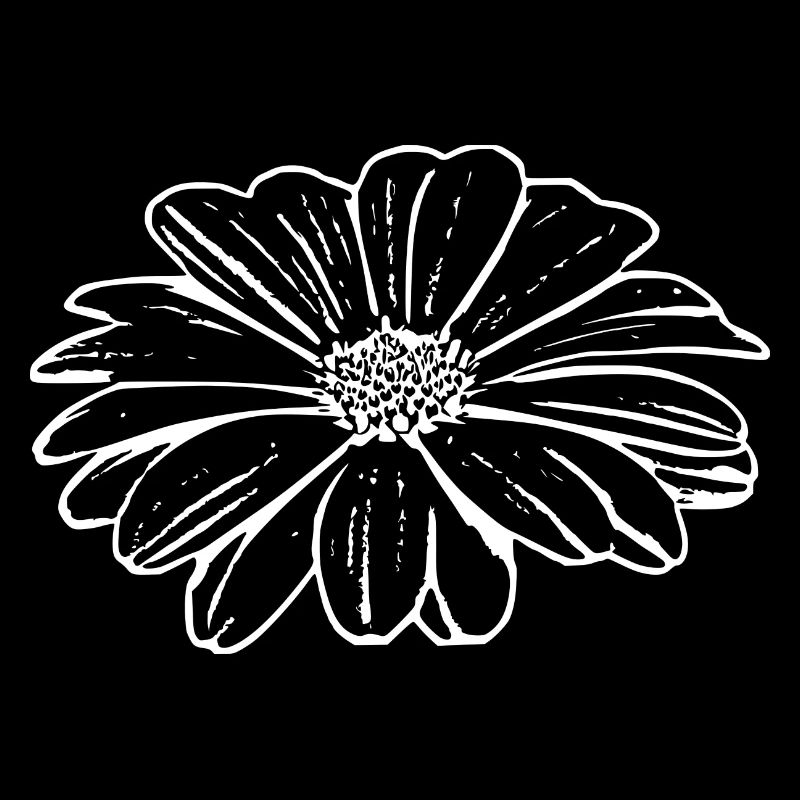 Blume weiß weiße Blumen Geschenk Muttertag Mutter