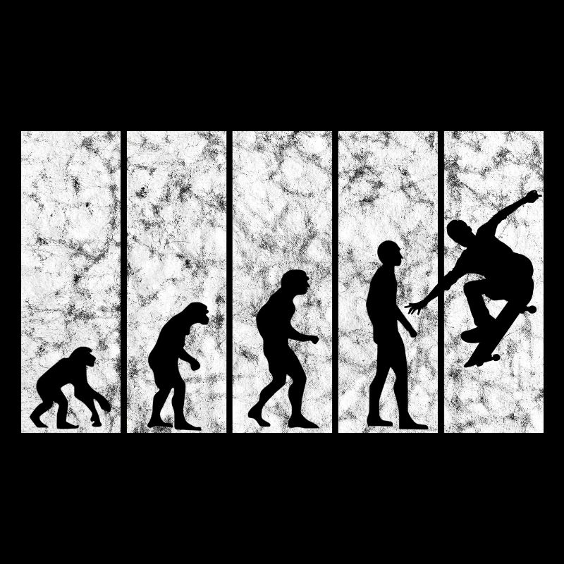 Skateboarder Skateboard Skater Evolution Skateing