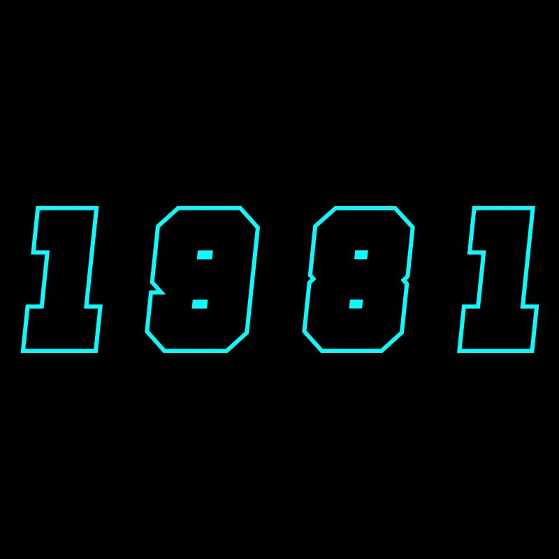 1981 Year Number