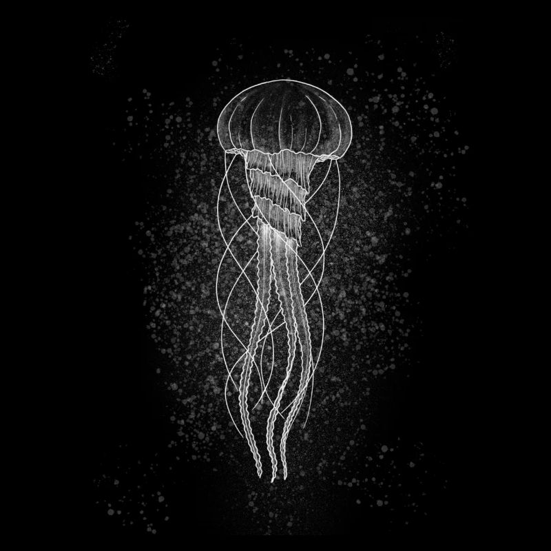 Jellyfish white