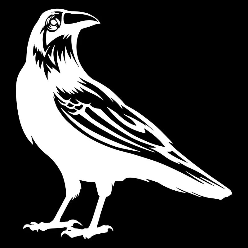 Crows are raccoons