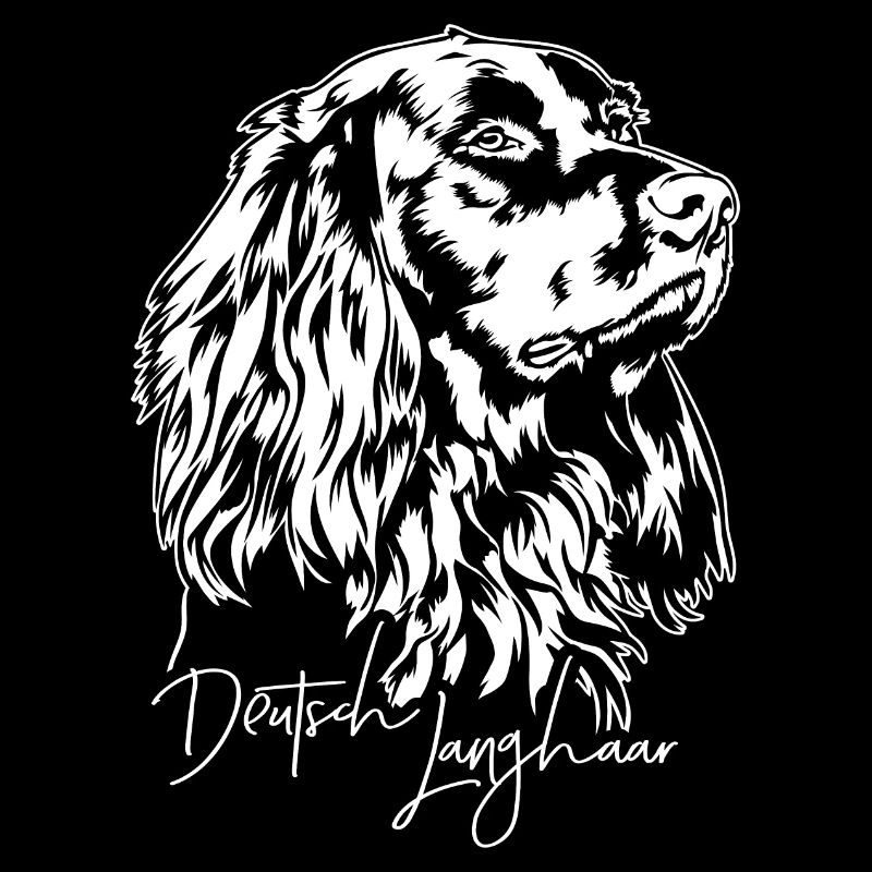 Deutsch Langhaar Portrait Jagdhunde Hund Wilsigns