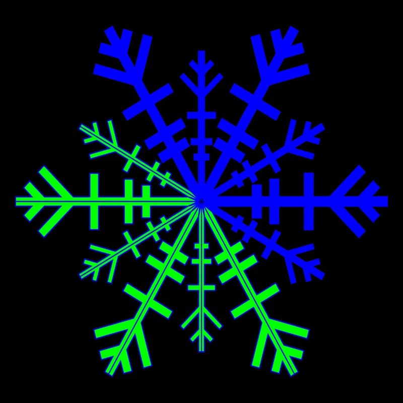 Christmas star winter