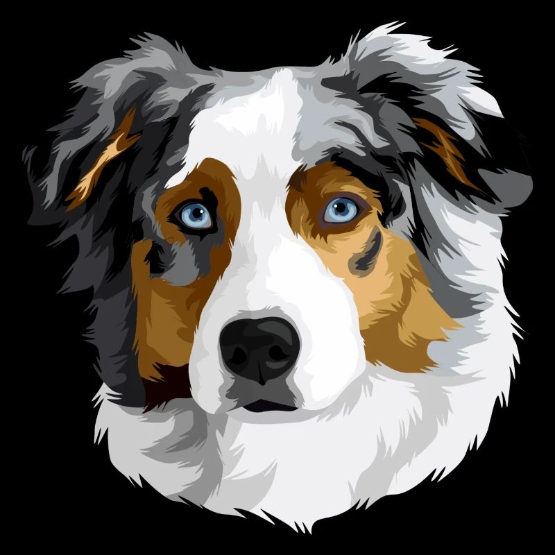Australian Shepherd Kopf