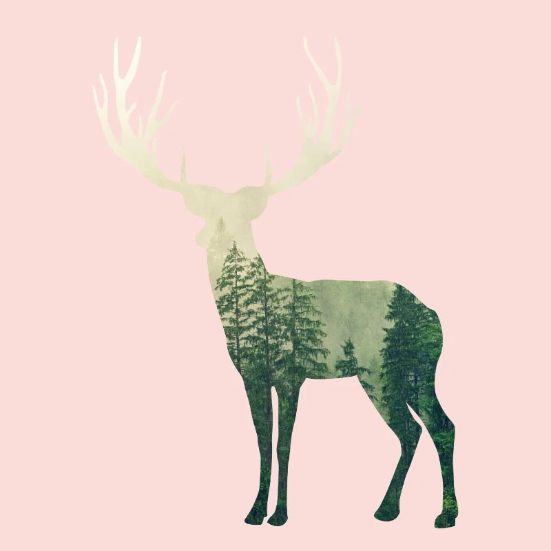 Forêt de cerfs
