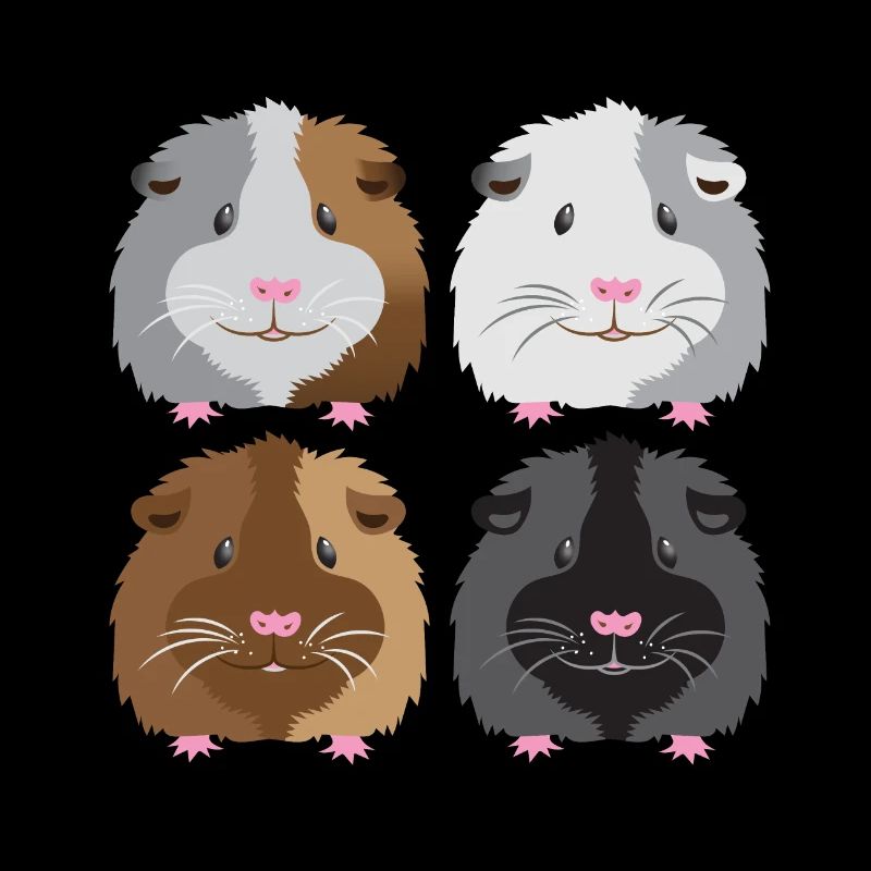 quatre cochons d'Inde!