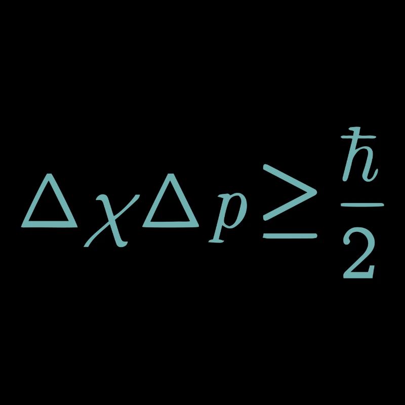 Schrodinger equation quantum physics gift