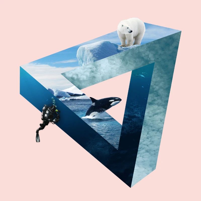 Arctic Ocean