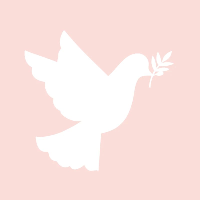 Pigeon gift Peace