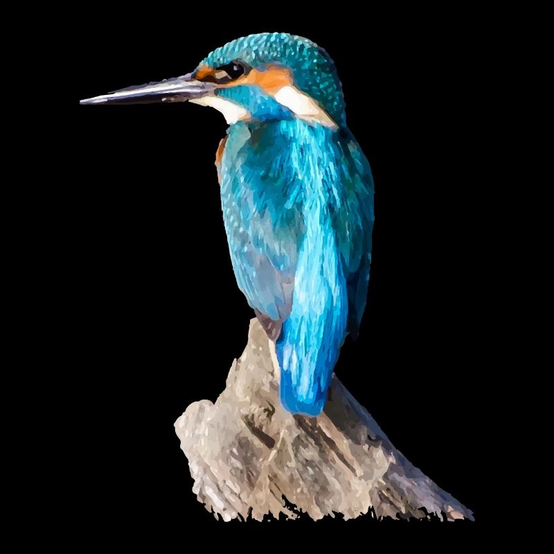 eisvogel 01