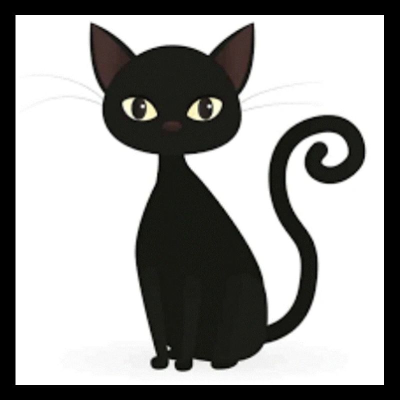chat noir