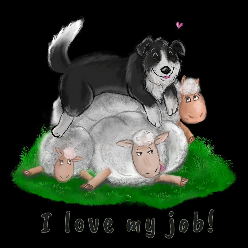 Border collie