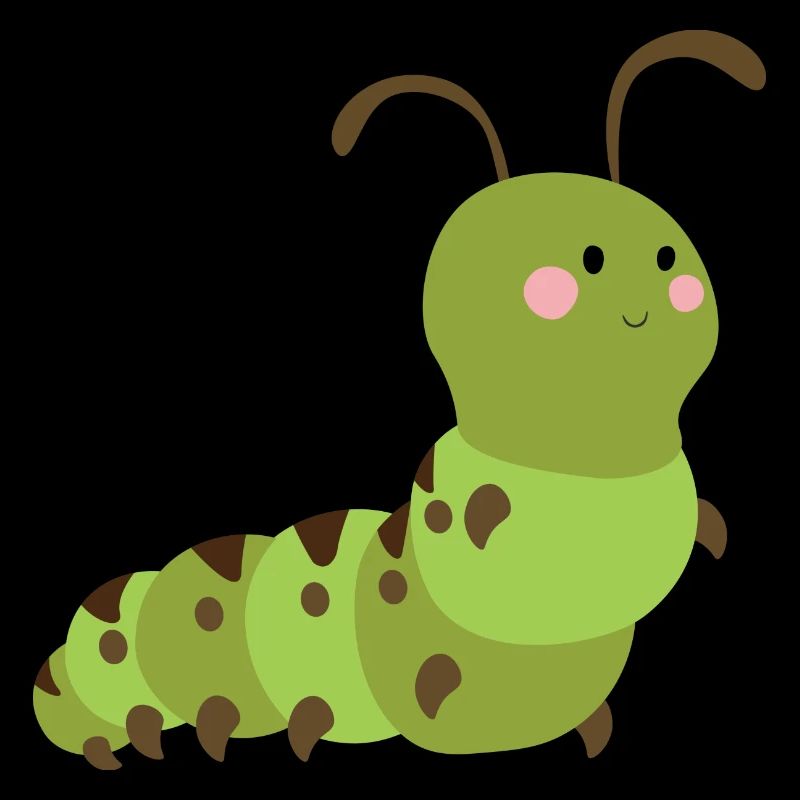 Raupe