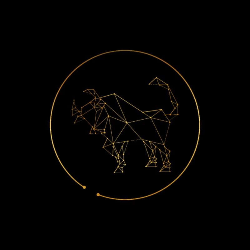 Zodiac sign Taurus Taurus
