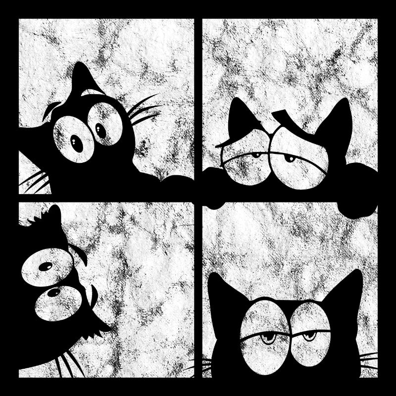 Chat Chat Miau Chat Rétro Chat Chat