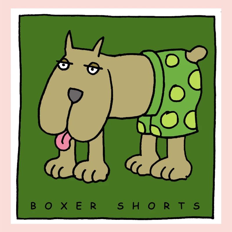 boxer