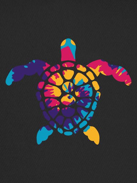 Hawaiian Turtle