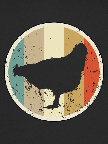 Huhn Hühner Henne