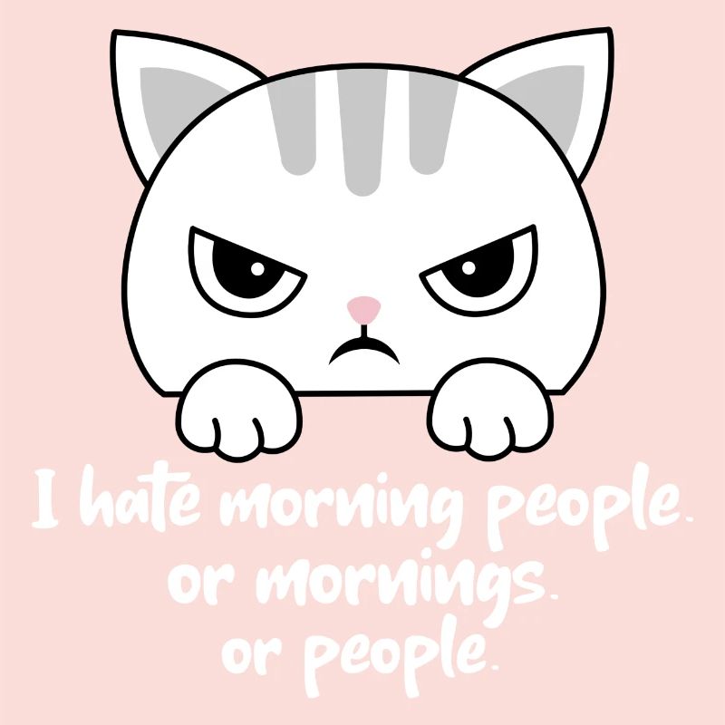 Ich hasse Morgenmenschen oder Morgen oder Menschen. Katze