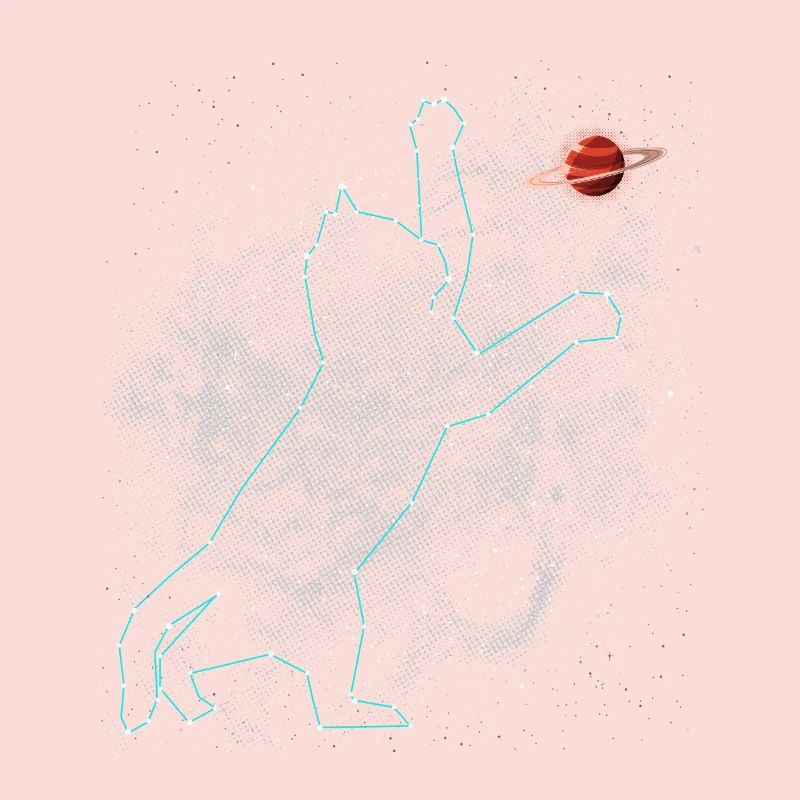 Constellation du chat