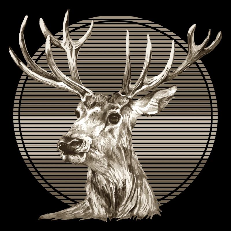 Hirsch