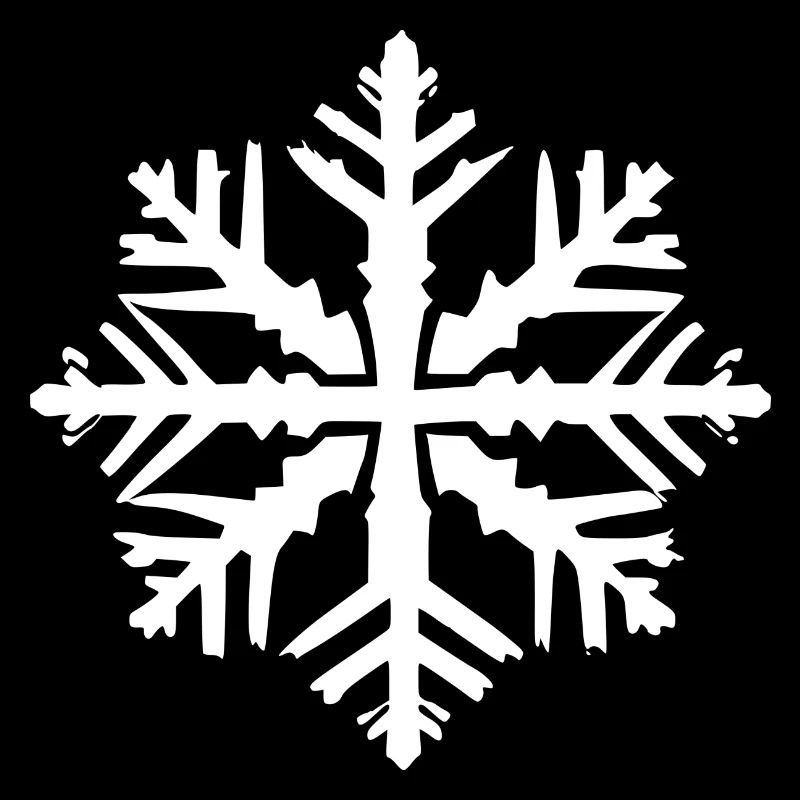 Snowflake Snow Winter Christmas Cold 12