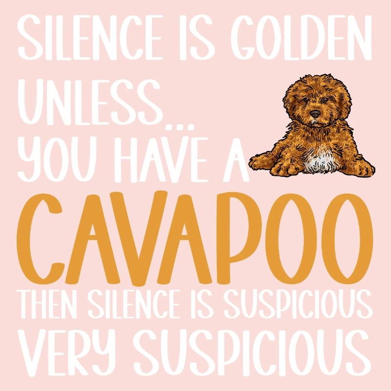 Cavapoo Cavoodle Capoodle Chien