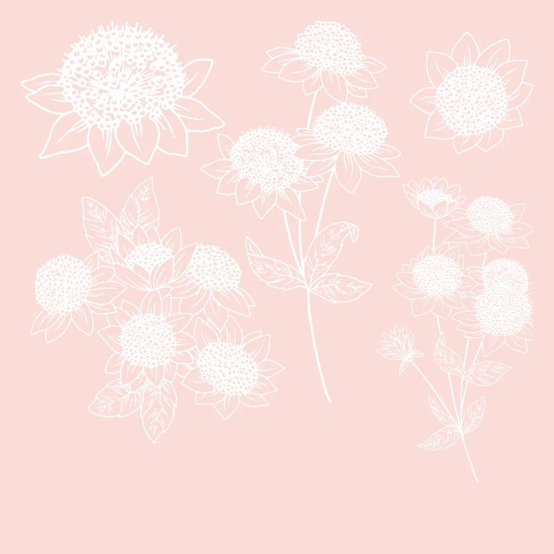 Groupe de fleurs astrantia maxima