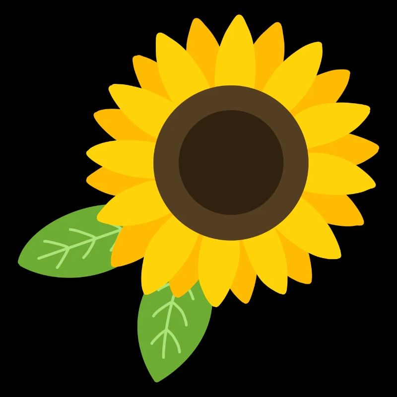 Sonnenblume