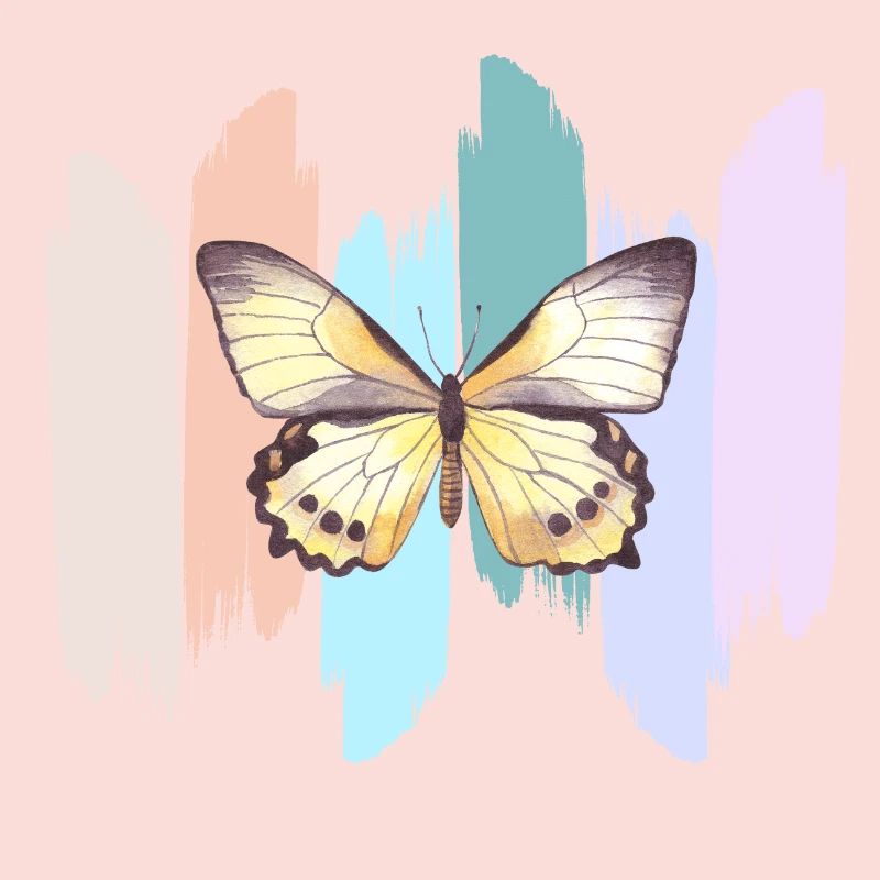 Papillon en arc en ciel