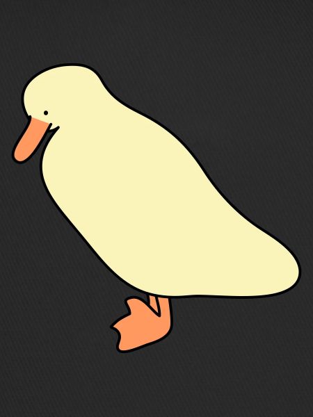 duck 5