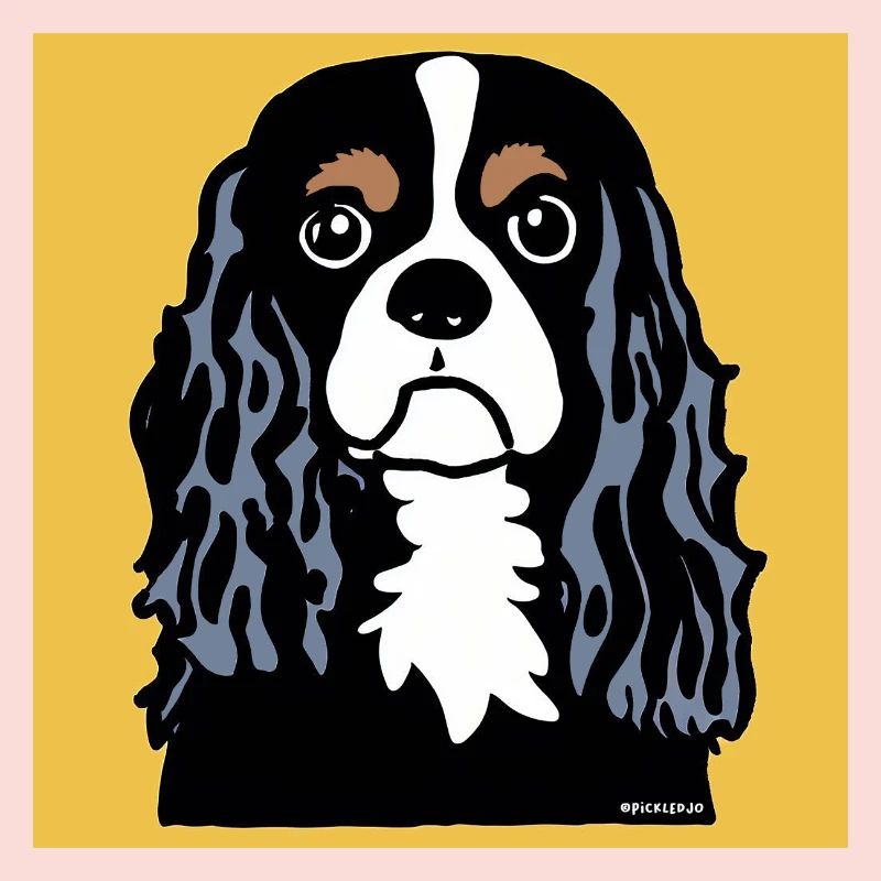 Cavalier King Charles Spaniel Doodle