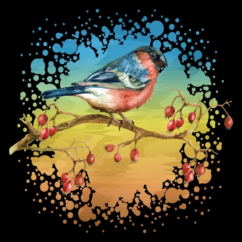 Oiseau coloré