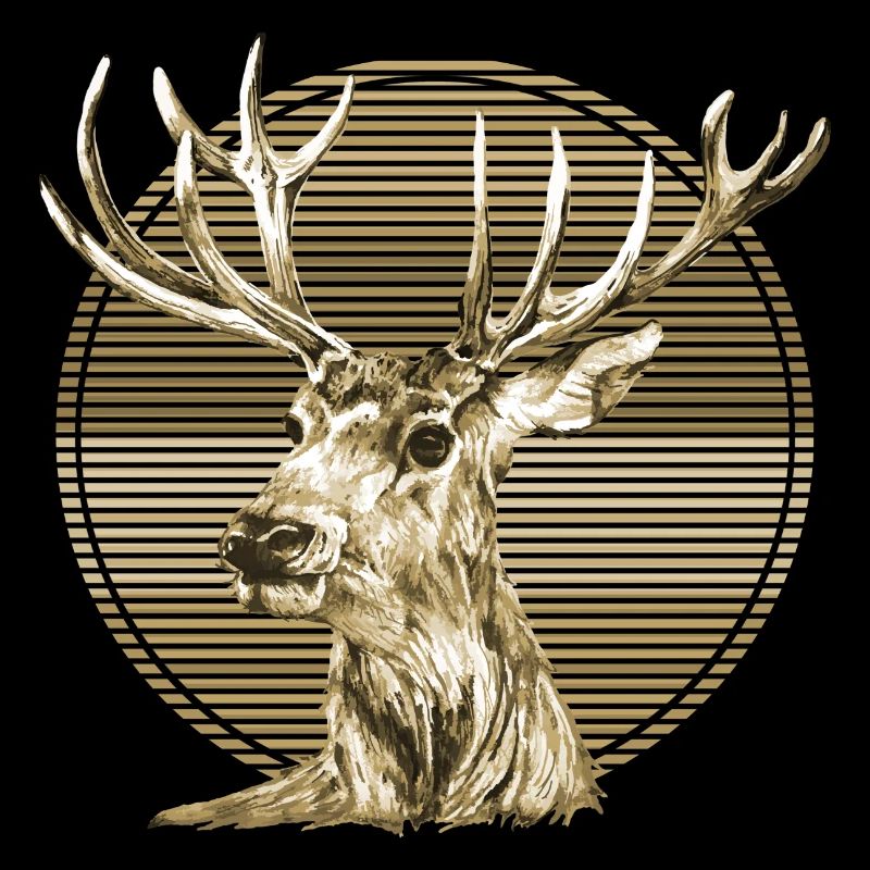 Hirsch
