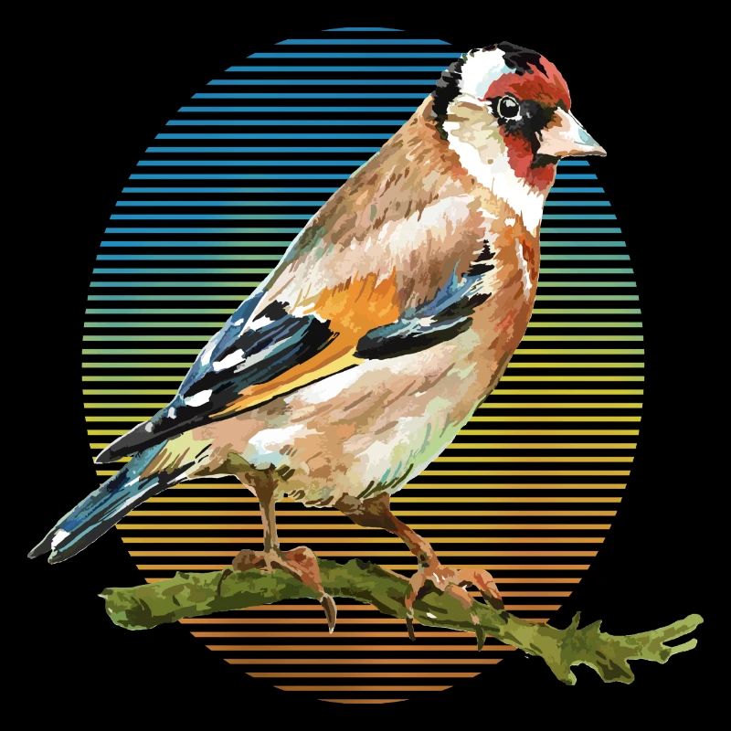 Colorful bird