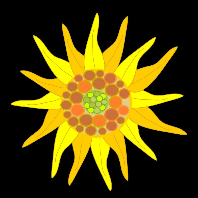 Sonnenblume
