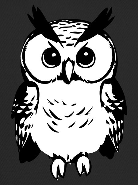 Cute owl